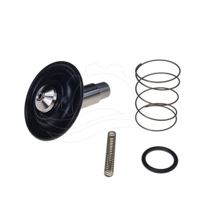 Remonta komplekts Bürkert 6213 solenoīda vārstam 0-10bar DN13 FKM VA DC