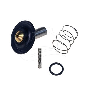 Remonta komplekts Bürkert 6213 solenoīda vārstam 0-10bar DN13 EPDM MS AC